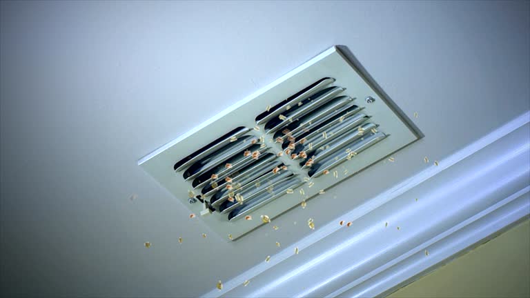 Ductwork Cleaning Services in Pinewood Estates, TX
