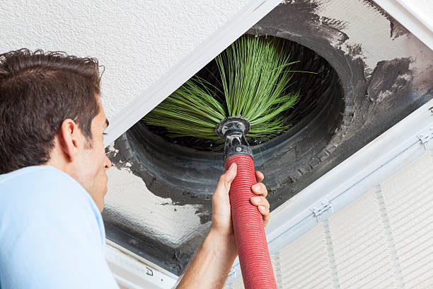Best Professional Duct Cleaning Services  in Pinewood Estates, TX